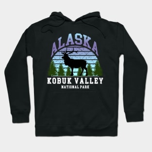 Kobuk Valley National Park Hoodie